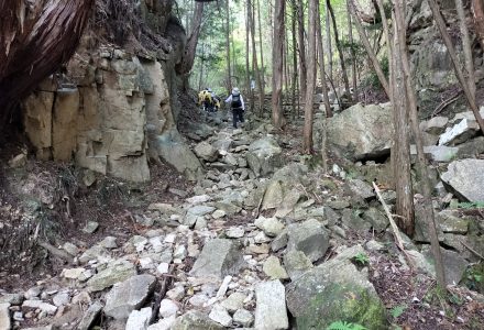 ⑧　飯道山登山道　左羅坂（ざらさか）